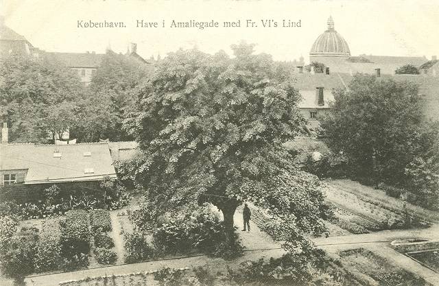 Amaliegade - Have i Amaliegade med Fr. VI´s lind - postkort fra ca 1915